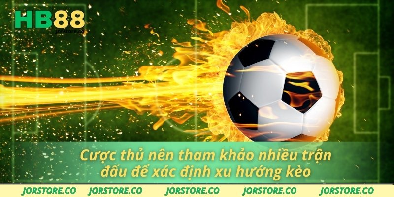 Cược thủ nên tham khảo nhiều trận đấu để xác định xu hướng kèo