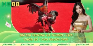 Địa Chỉ Trường Gà Thomo – Lựa Chọn Số 1 Cho Người Chơi Địa Chỉ Trường Gà Thomo – Lựa Chọn Số 1 Cho Người Chơi