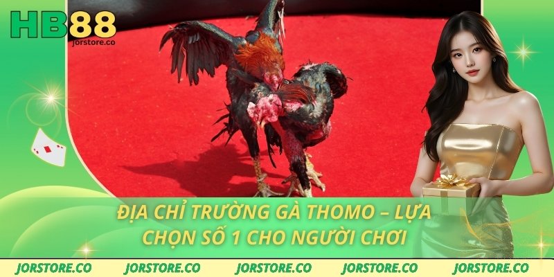 Địa Chỉ Trường Gà Thomo – Lựa Chọn Số 1 Cho Người Chơi Địa Chỉ Trường Gà Thomo – Lựa Chọn Số 1 Cho Người Chơi