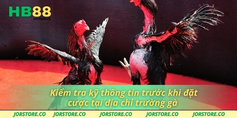 Kiểm tra kỹ thông tin trước khi đặt cược tại địa chỉ trường gà