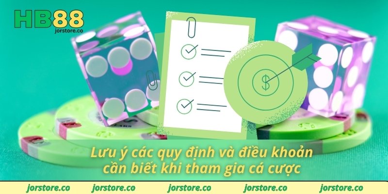 Lưu ý các quy định và điều khoản cần biết khi tham gia cá cược