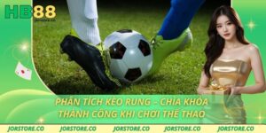 Phân Tích Kèo Rung – Chìa Khóa Thành Công Khi Chơi Thể Thao phân tích kèo rung